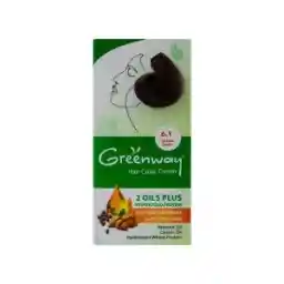 کیت رنگ مو گرین وی شماره 6.1