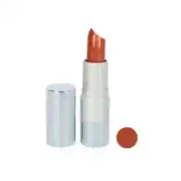 رژ لب جامد لنسور سری 3D شماره D31