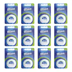 نخ دندان مینا مدل نعنا بسته 12 عددی