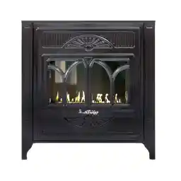 بخاری جهان کار مدل تیاگو