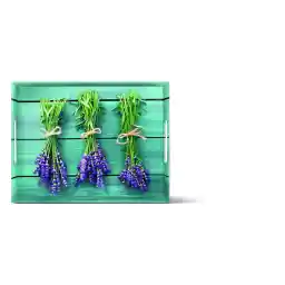 سینی Emsa 513713 با نقش اسطوخودوس سایز 40 در 31 سانتی متر کلاسیک