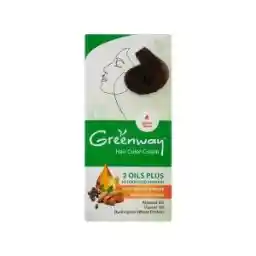 کیت رنگ مو گرین وی شماره 4