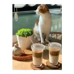 SMALL EW 2 Pieces 400 ml لیوان شیشه ای سبک اوریگامی با درب شیشه ای و نی | فنجان قهوه و ارائه| لیوان نوشابه