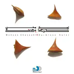 آلبوم موسیقی امیر بی‌ گزند اثر محسن چاوشی