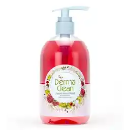 مایع دستشویی عناب و کاملیا | درماکلین