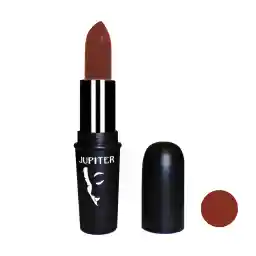رژ لب جامد ژوپیتر شماره 203
