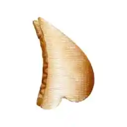 کلیپس مو مدل ZV 030