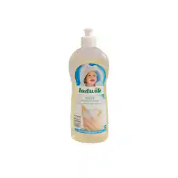 مایع شوینده شیشه شیر و ظروف کودک لودویک مدل Pa0365.1 حجم 500 میلی لیتر