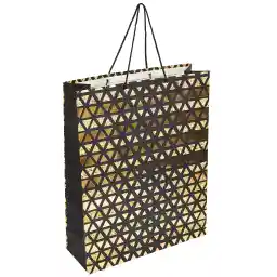 Servewell Gift Bag, X-Large - 40 x 55 x 15cm (Assorted colors)