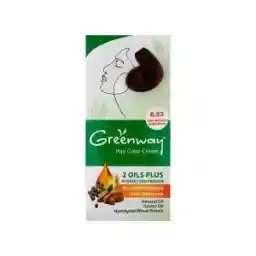 کیت رنگ مو گرین وی شماره 6.53