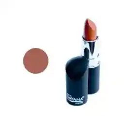 رژ لب جامد دایانا مدل Matte شماره 23