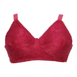 سوتین گلستان کد ZE