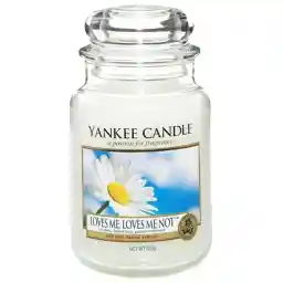 شمع کوچک ینکی کندل مدل دوستی