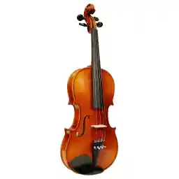ویولن آکوستیک اشترونال مدل 29W