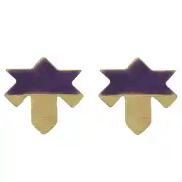 گوشواره فی بی طرح برگ چنار