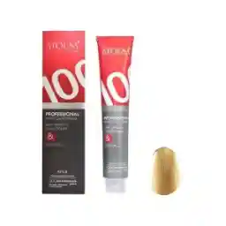 رنگ مو آتوسا سری هایلایت شماره HI 12.13 حجم 100 میلی لیتر - کنجدی