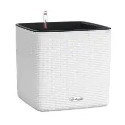 گلدان خودآبرسان لچوزا مدل Cube Ls Color 35