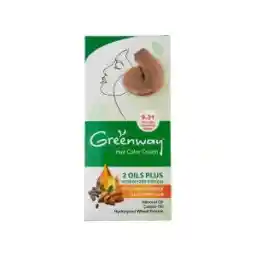 کیت رنگ مو گرین وی شماره 9.31