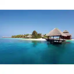 کاغذ دیواری 4 تکه 1وال مدل Dream-002