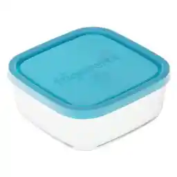 ظرف نگهدارنده فریگور کد 87890