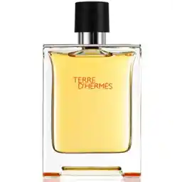 ادو تویلت مردانه مدلTerre D Hermes حجم 100 میل | هرمس