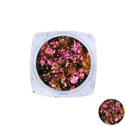 پودر شاتر کروم ناخن برن پرتی مدل 02-40147