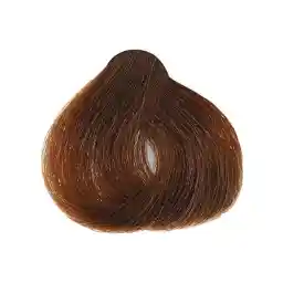 رنگ مو بلوند فندوقی 6.24 آرکانوم