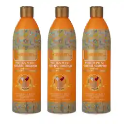 شامپو مو هسل مدل Protein Plus حجم 400 میلی لیتر مجموعه 3 عددی