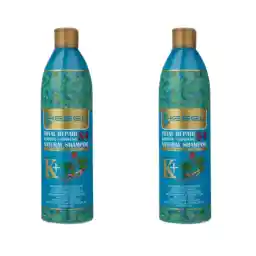 شامپو تقویت کننده و ترمیم کننده مو هسل مدل Keratin Ginseng حجم 400 میلی لیتر بسته 2 عددی