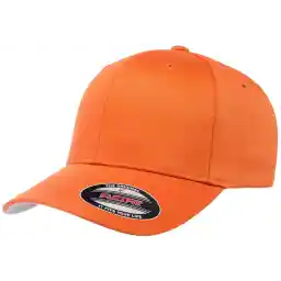 Flexfit mens Flexfit Men's Athletic Baseball Fitted Cap