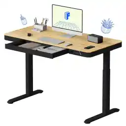 FLEXISPOT Electric Height Adjustable Standing Desk, Computer Desk with Drawer Bamboo Desktop & Adjustable Black Frame, Game table (60 x 120 cm, USB Charge Ports, Memory Controller)