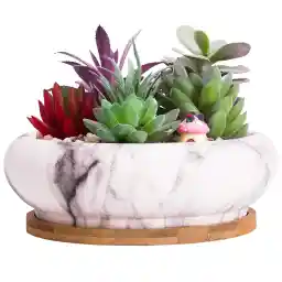 ARTKETTY Succulent Pots - Large Succulent Planters Pots with Drainage Ceramic Bonsai Pots with Tray, Shallow Planters for Indoor Flower Plants Marble Cactus Planter Bowl
