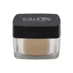 پودرفیکس مات شماره 301 سیترای