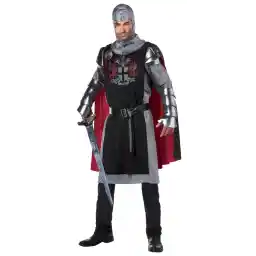 California Costumes mens Medieval Knight Adult-Sized Costume (pack of 1)
