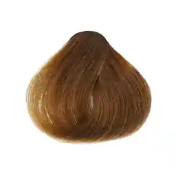 رنگ مو بلوند بژ 6.32 آرکانوم