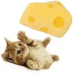 ELECDON Cat Toy, Cat Toys for Indoor, Cat chew Toy, Cats Cute Toys, Bite Resistant Dental Health Interactive Cat Toys Filled with Catnip and Silver Vine Kitty Kitten