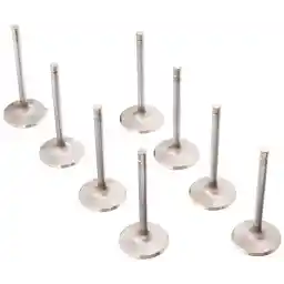 Manley 106508 Stainless Steel Performance Valves - Set of 8