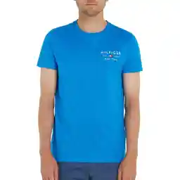 Tommy Hilfiger mens Logo T-Shirts