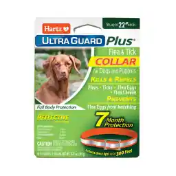 Hartz UltraGuard Plus Flea & Tick Collar for Dogs and Puppies, 7 Month Flea and Tick Prevention and Protection Per Collar, Reflective Orange, up to 22 Inch Neck