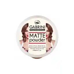 پودر مات حرفه ای گابرینی 01