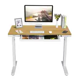 FLEXISPOT Electric Standing Desk, Height Adjustable Desk with Drawer 120 x 60cm Black Desktop & Adjustable Black Frame Quick Install Computer Workstation (USB Charge Ports, 4 Persets)