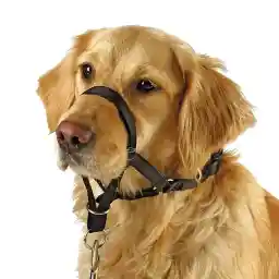BARKLESS Soft Dog Head Collar, No Pull Training Tool for Small Dogs on Walks, Gentle Halter for Heavy Pullers, Includes A Training Guide