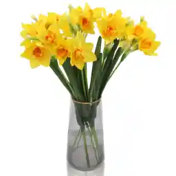 Hananona 10 Pcs Artificial Daffodils Flowers Narcissus Faux Spring Flowers Fake Silk Daffodil Flower Arrangement for Indoor Outdoor Home Wedding Decor (10, Yellow)