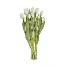 Floral, 10-Stems Tulip Bunch - 1 Each