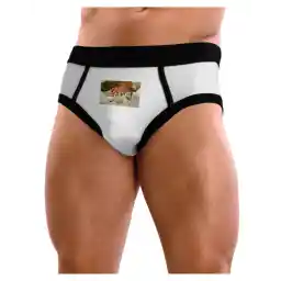 TooLoud CO Painted Mines Mens Briefs Underwear