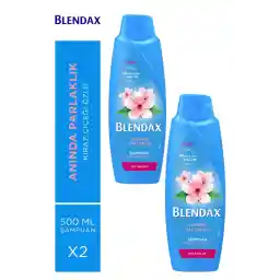 Blendax Anında Parlaklık Ve Yumuşaklık Kiraz Çiçeği Özlü Şampuan 500 ml X 2 Adet