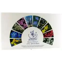 FLOWER ESSENCE SERVICES Healing Herbs Practitioner Kit, 40 Count