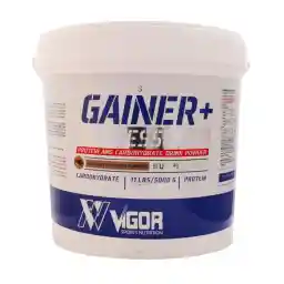 پودر گینر پلاس ویگور 5000 گرم