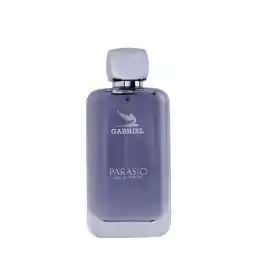 ادوپرفیوم زنانه پاراسیو Parasio مدل Gabriel حجم 100 میلی لیتر