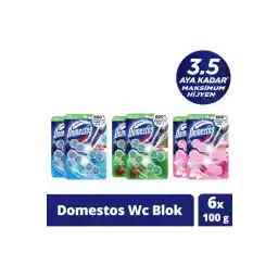 Domestos Tuvalet Bloğu 100 G Çam Ormanı 100 X2 Manolya Buketi 100 G X2 Okyanus Esintisi 100 G X2